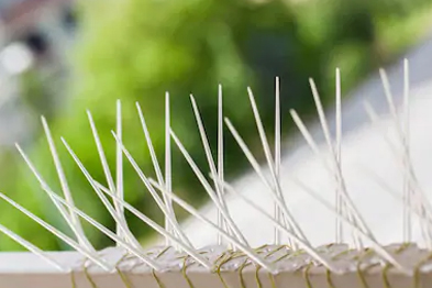 Bird Spikes In Hyderabad